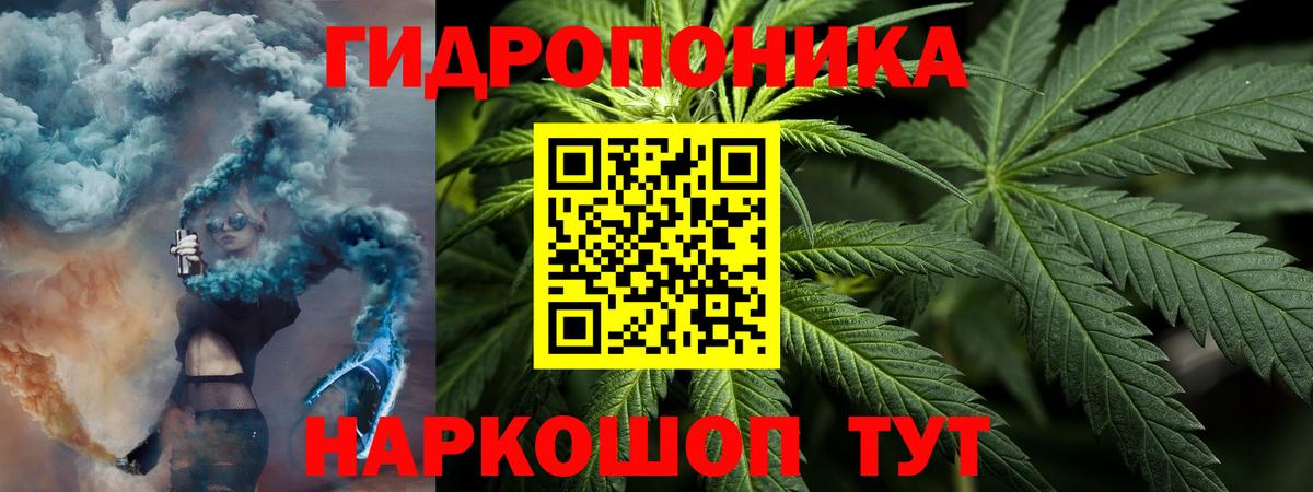Конопля гибрид Углич